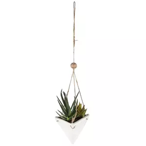 Air Plants in Hanging Marble Triangle Planter, Hobby Lobby